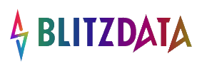 BlitzData Logo